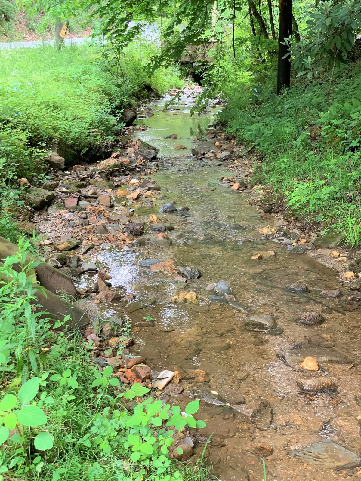 A tranquil stream surrounded by rocks and dense greenery, with reflective waters inviting nature walks, birdwatching, and family picnics. This serene setting hints at wildlife spotting and outdoor adventures in nature.